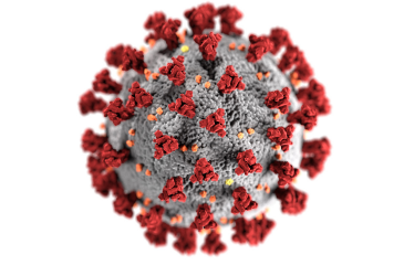 Novel Coronavirus cell: gray cell with red spikes 