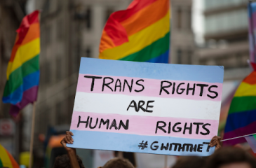 Blue, pink and white sign reading "Trans Rights are Human Rights"